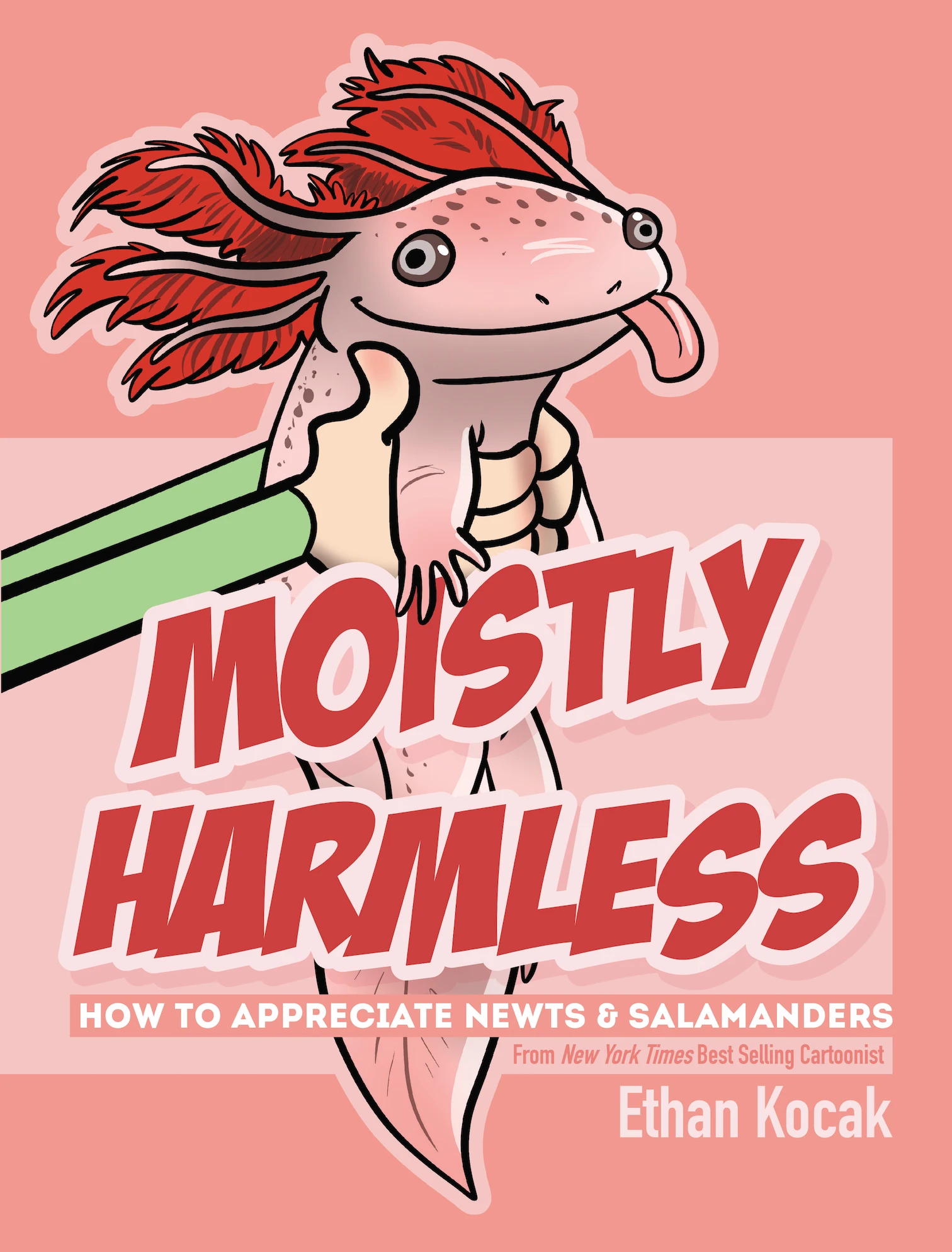 Moistly Harmless: How to Appreciate Newts and Salamanders