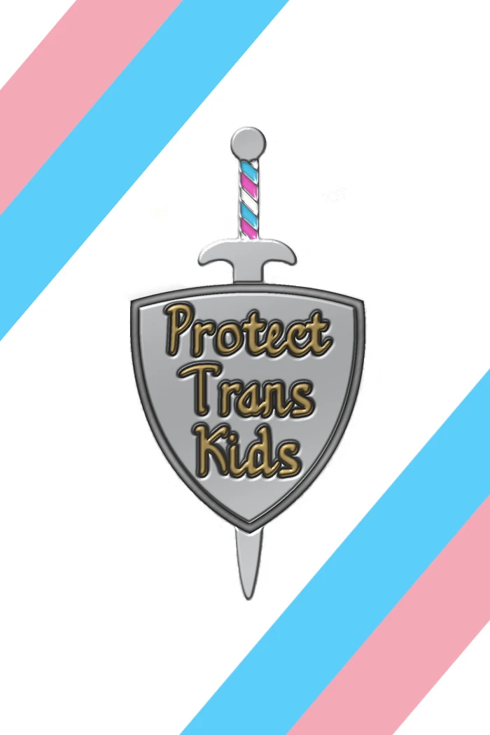 #ProtectTransKids Charity Pin